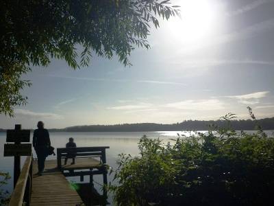 Am Plöner See